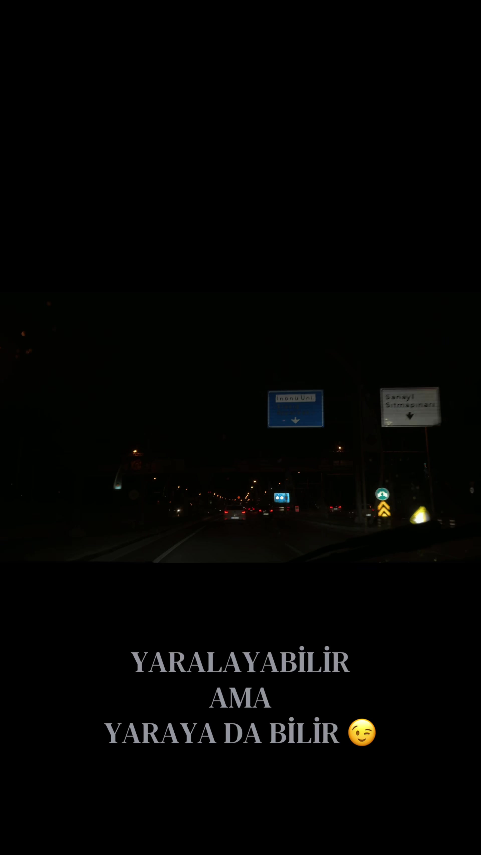 @svdcnplt 🪽
