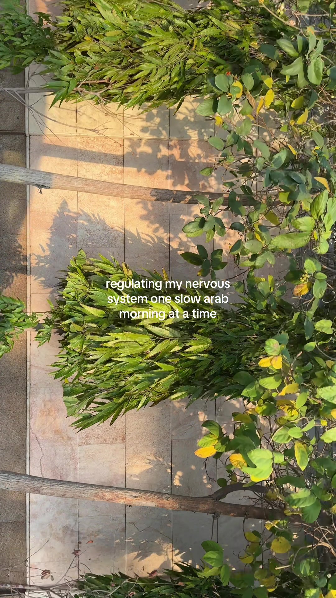 @dana