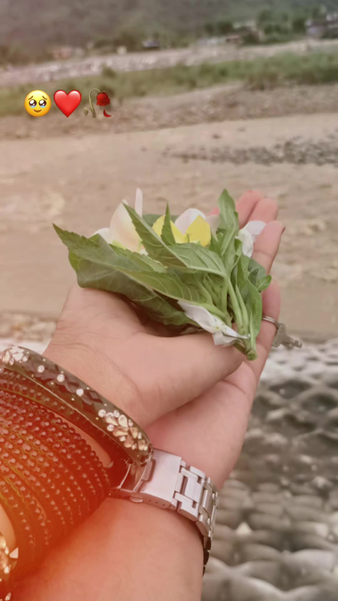 @Renuka👀 Narendra🫂♥️