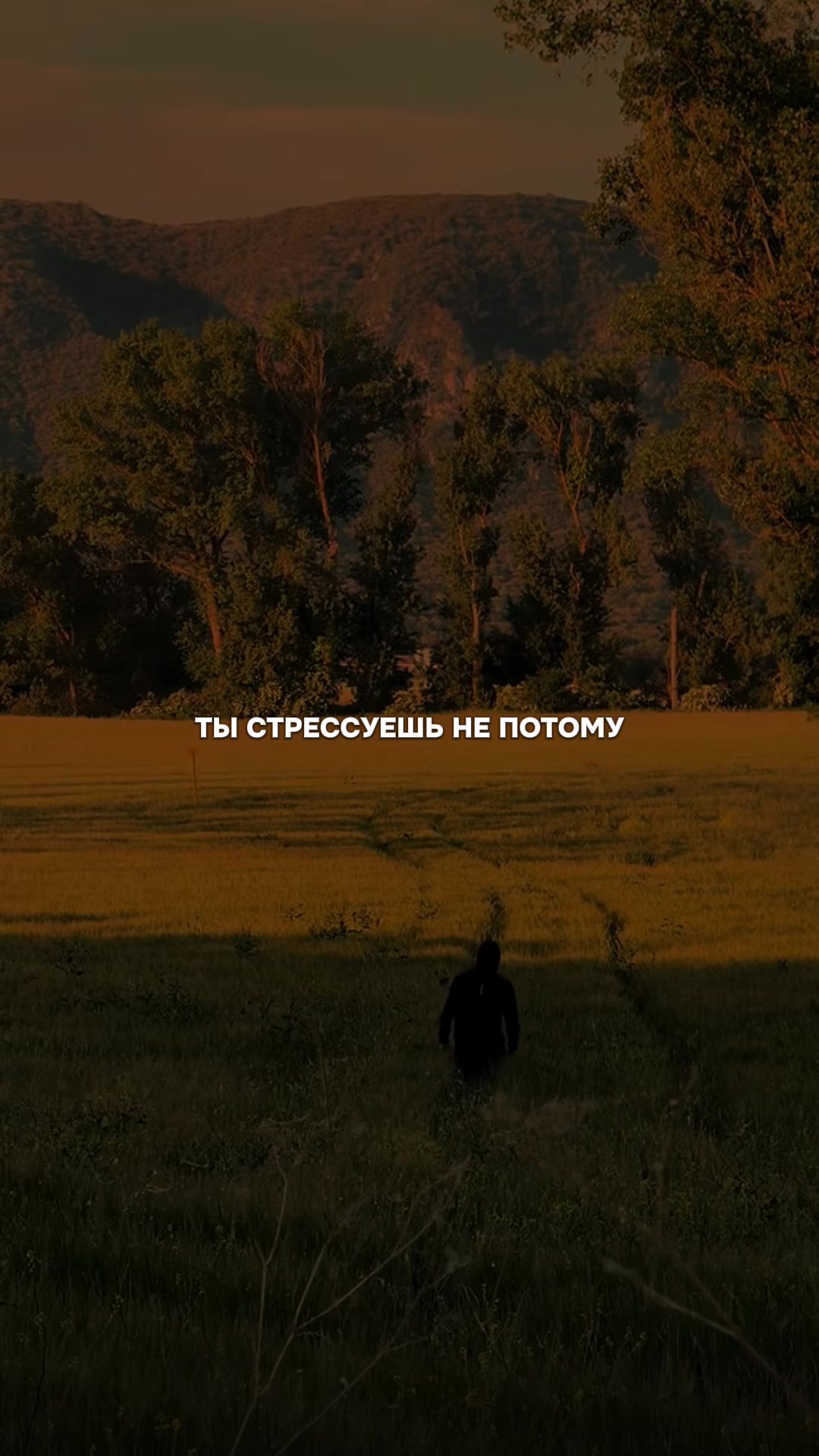 @тгк: LuxuryMotivation