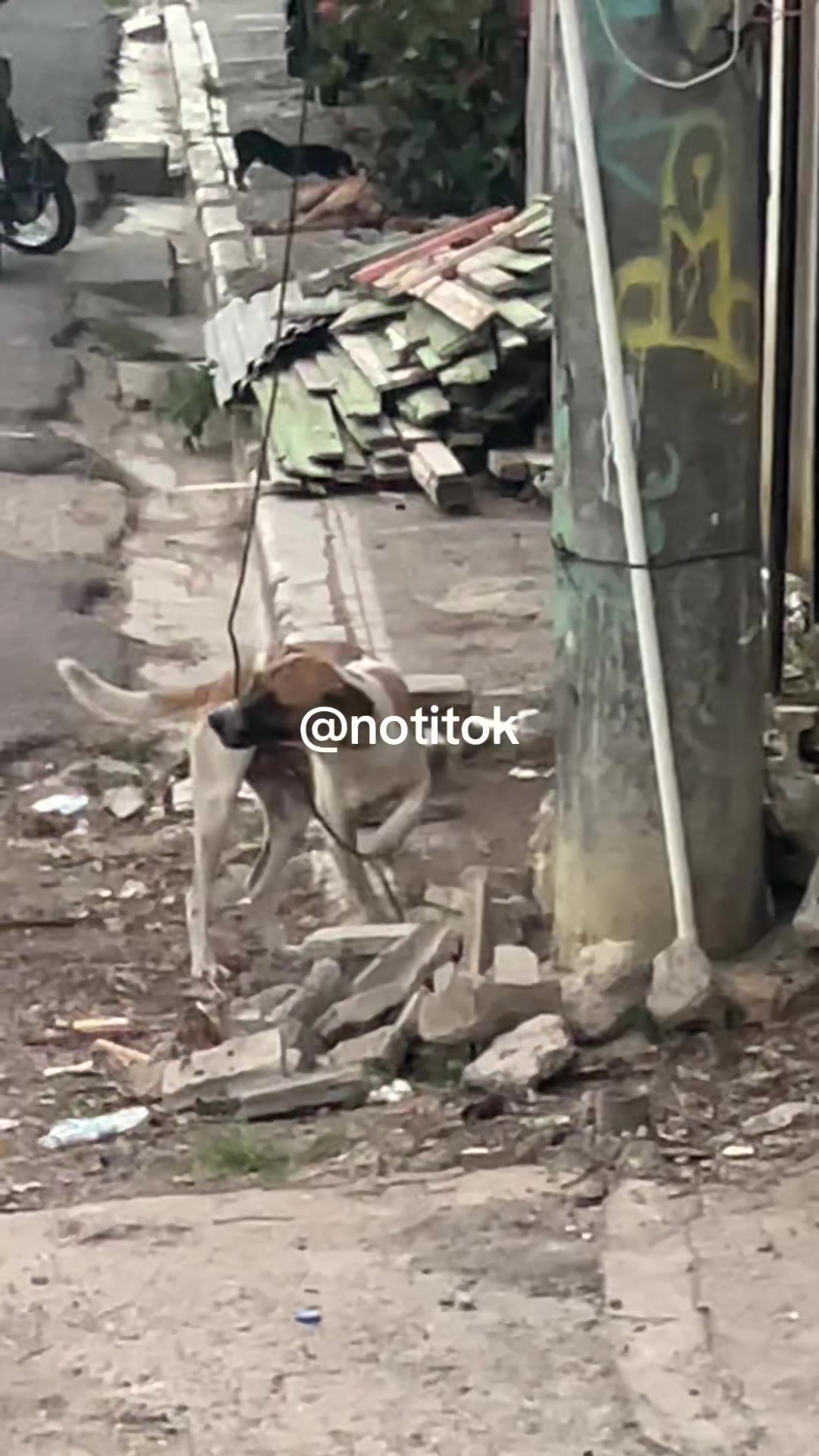 @Notitok