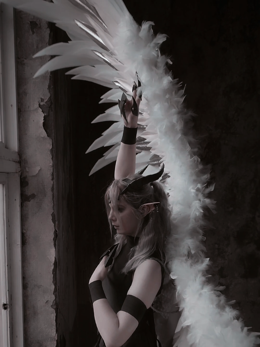 @Angels_PawPrint