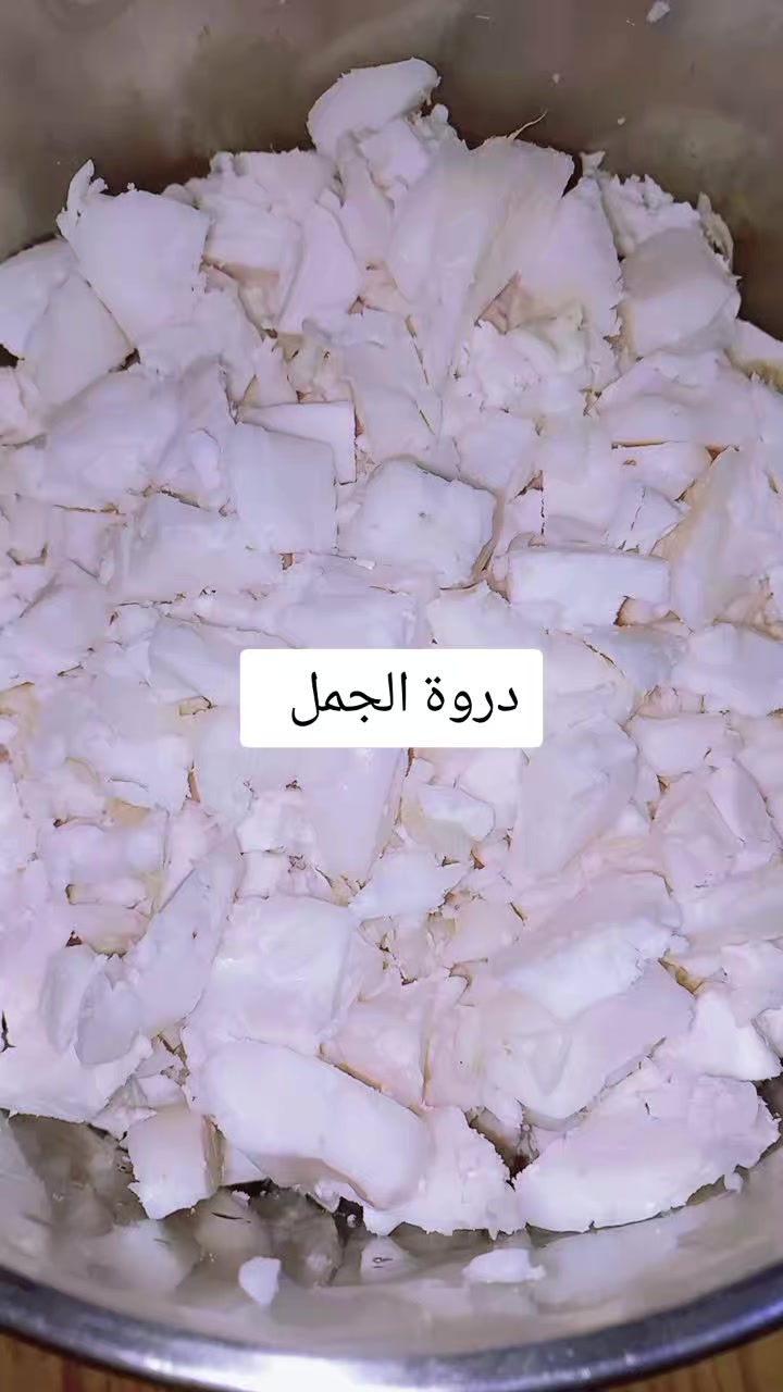 @وردة الجنوب اوفيسيل1