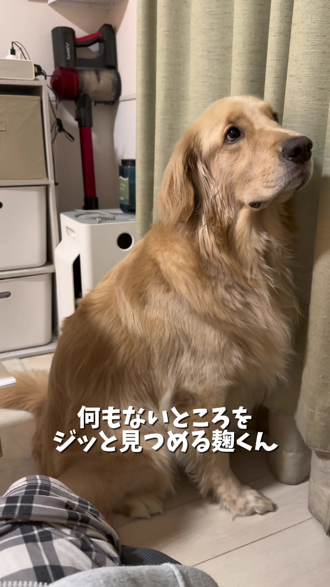 @おにゅこじハウス