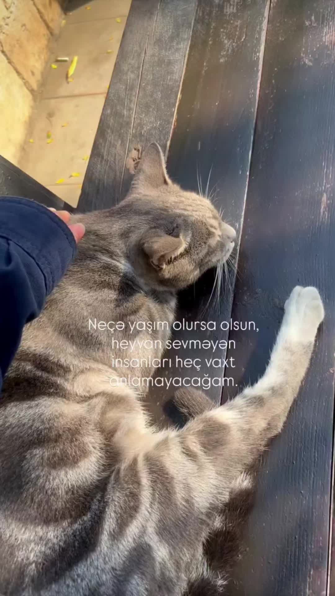 @𝓝𝓪𝓽𝓪_𝓔𝓱𝓶𝓮𝓭𝓸𝓿𝓪