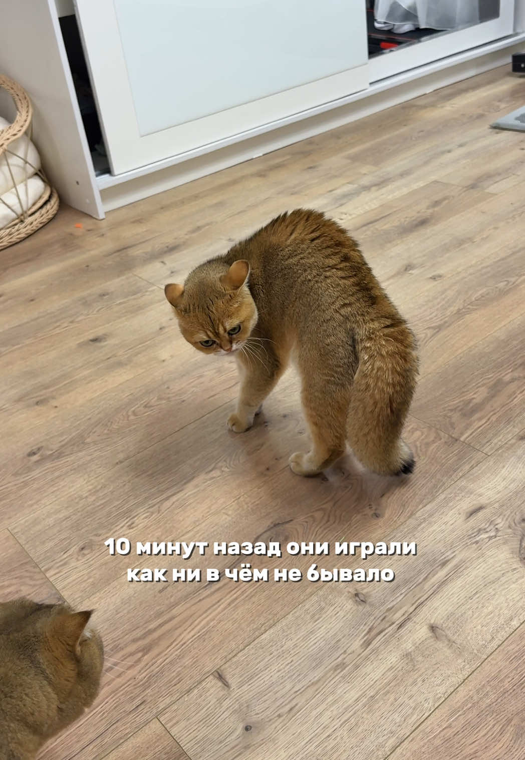 @Владочка