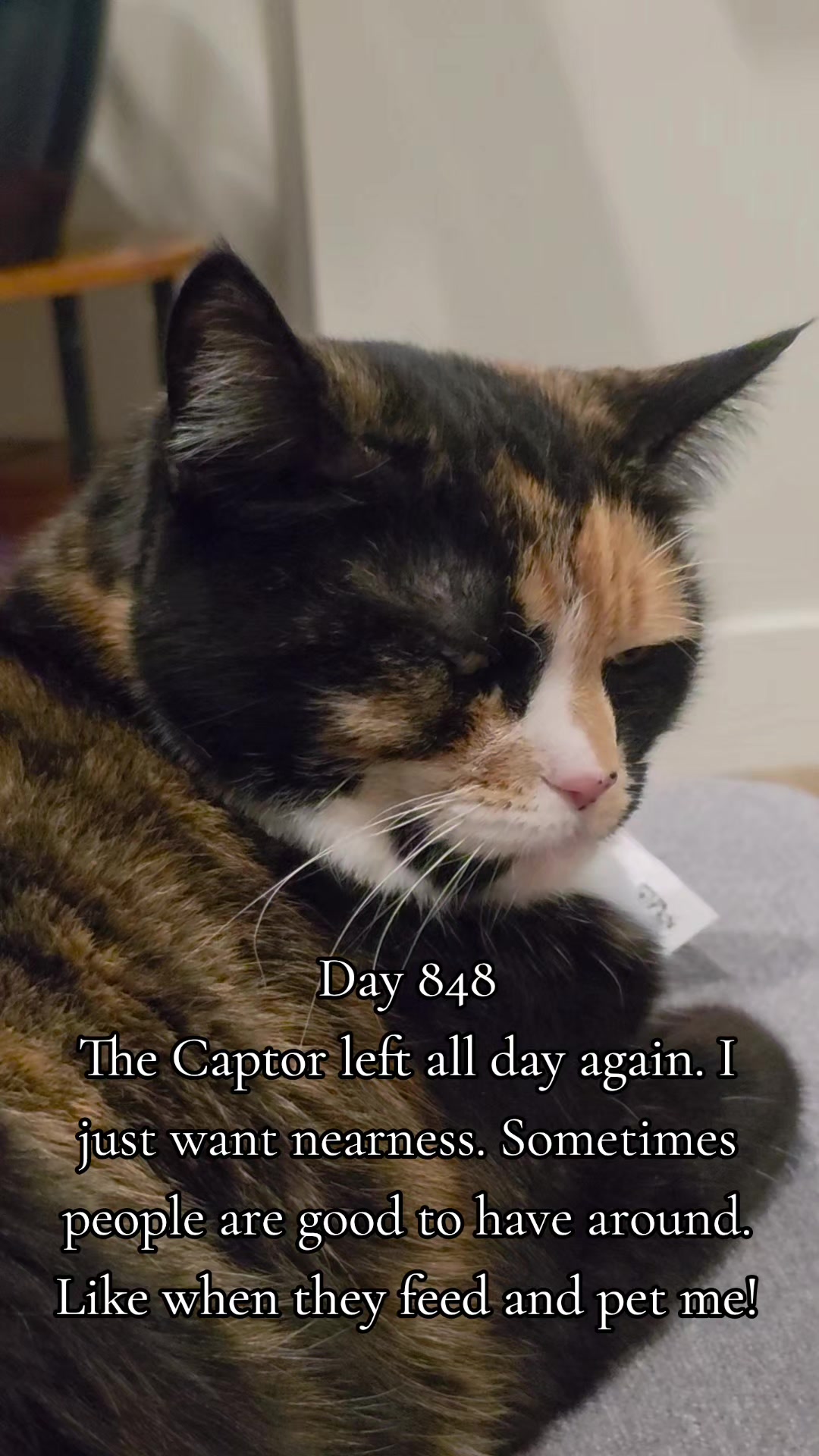 @Sophia