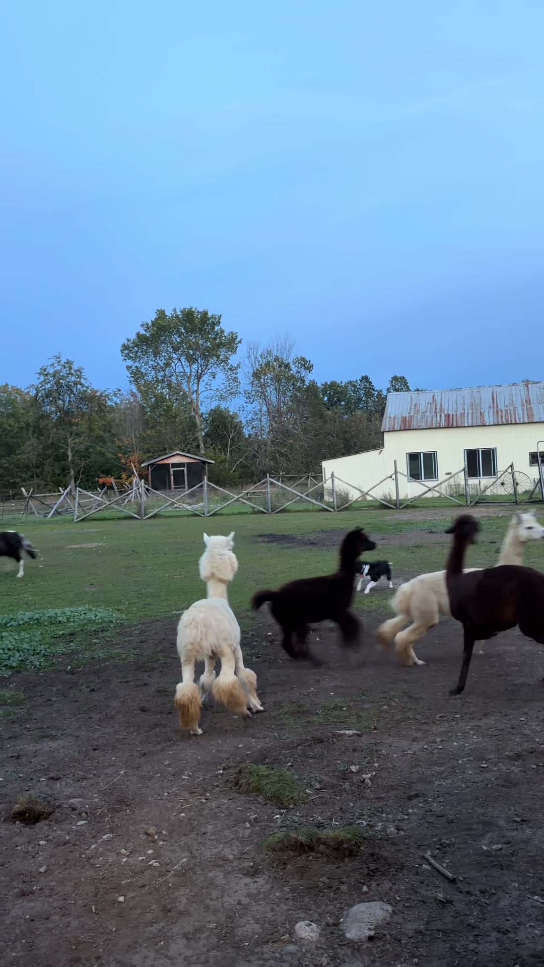 @Useless Farm