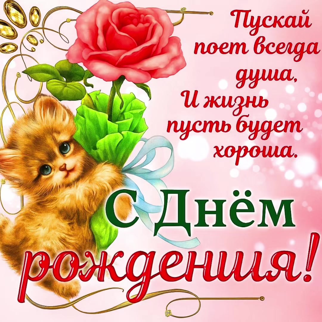 @котики на каждый день
