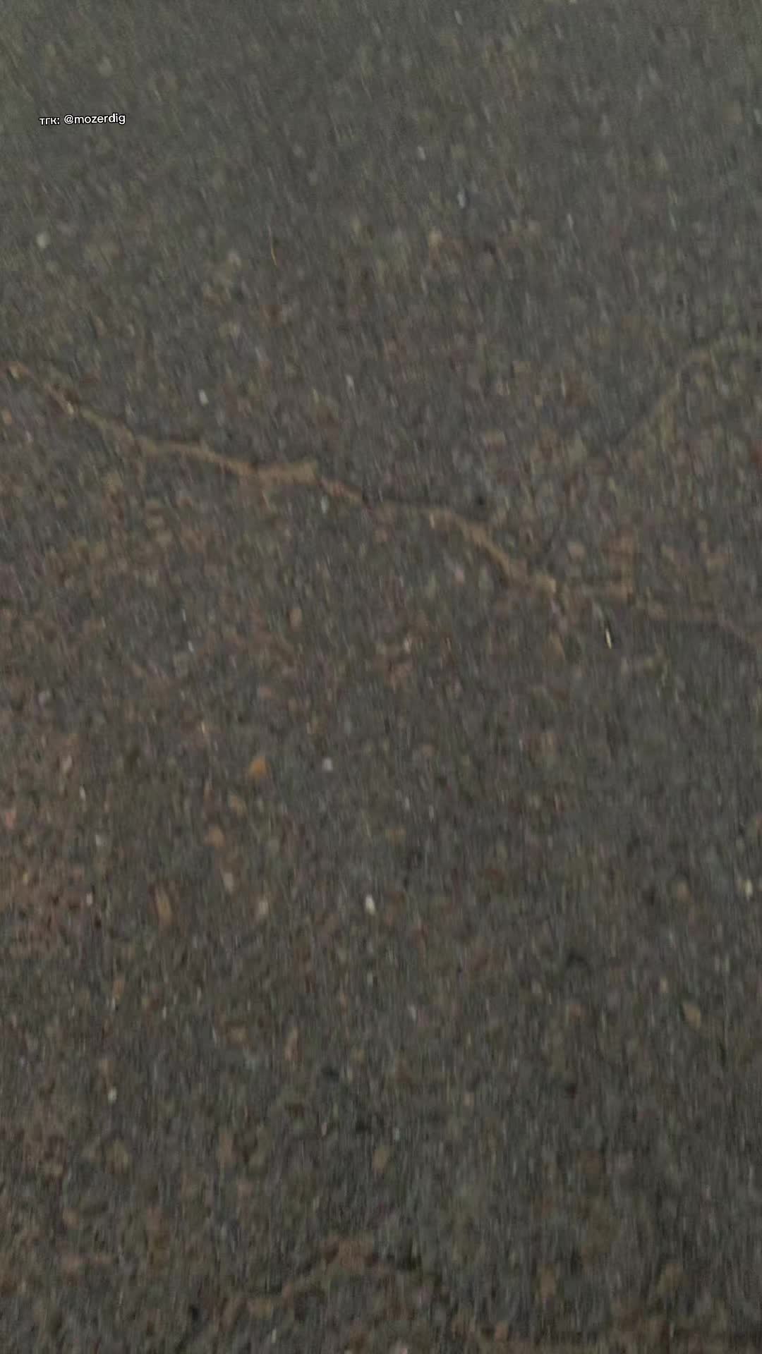 @minesoftik🚷