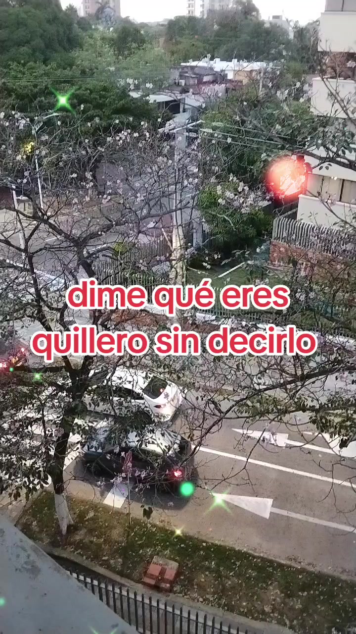 @fundación chiquillos pa'lante.
