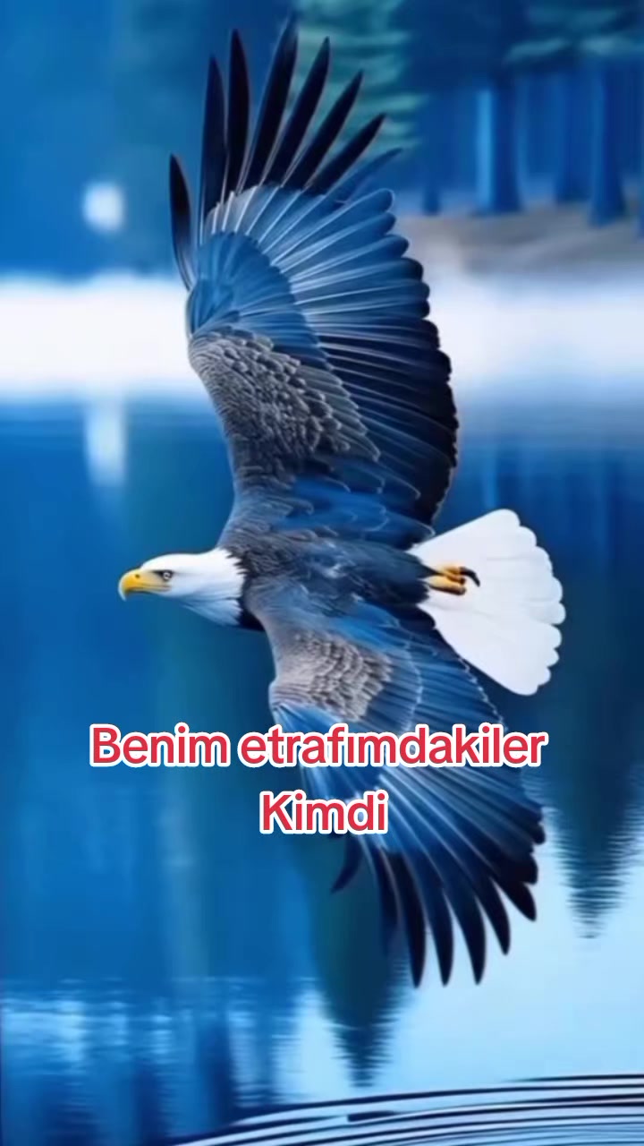 @🦁 SAKİN OLUN BEN GELDİM SLM🦁