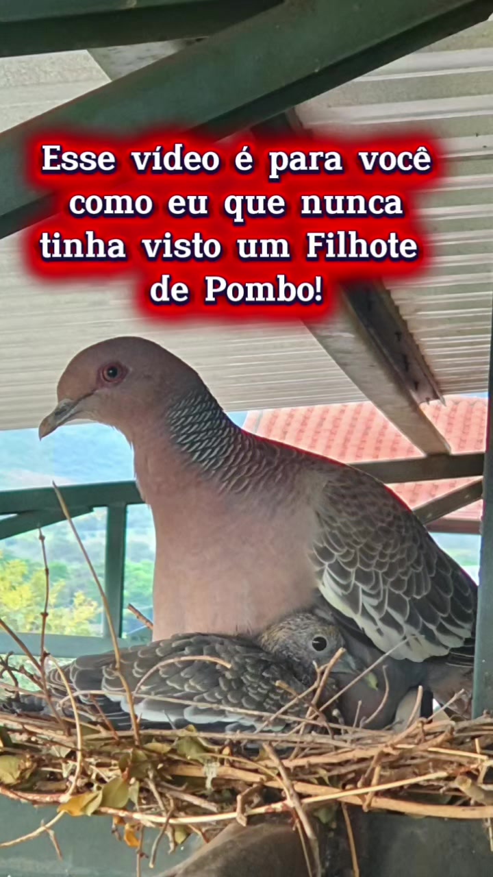 @Jessika Sobral