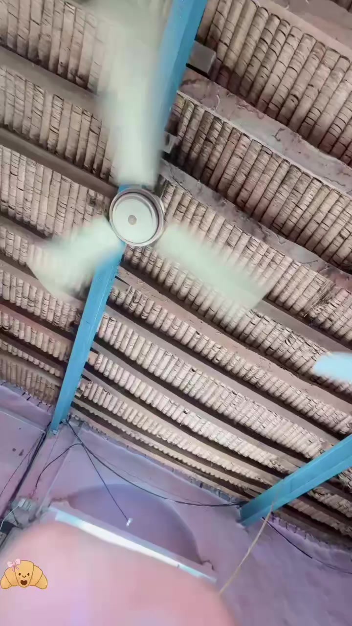 @Dani Gull 🚩