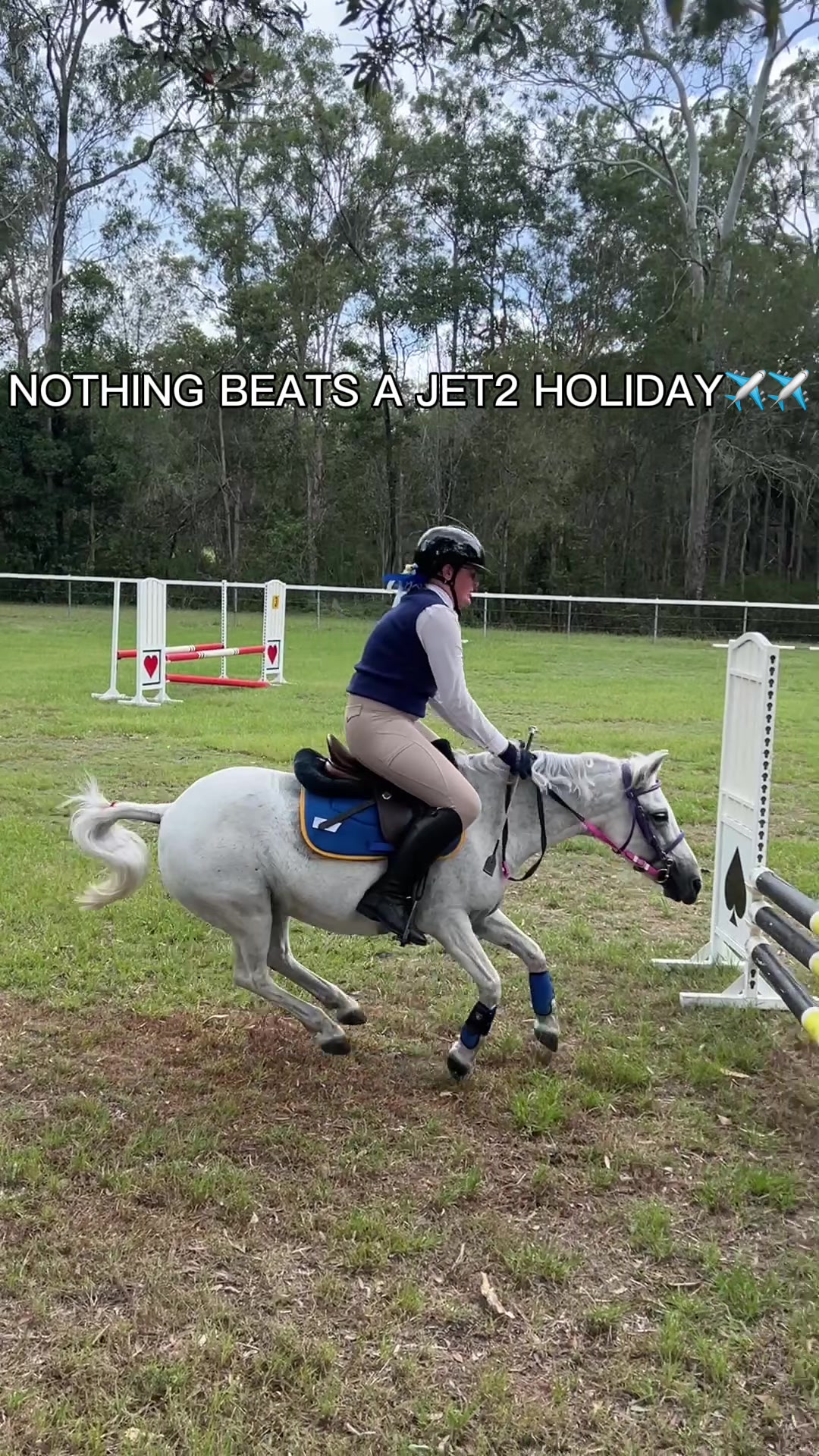 @Lola_is_my_pony