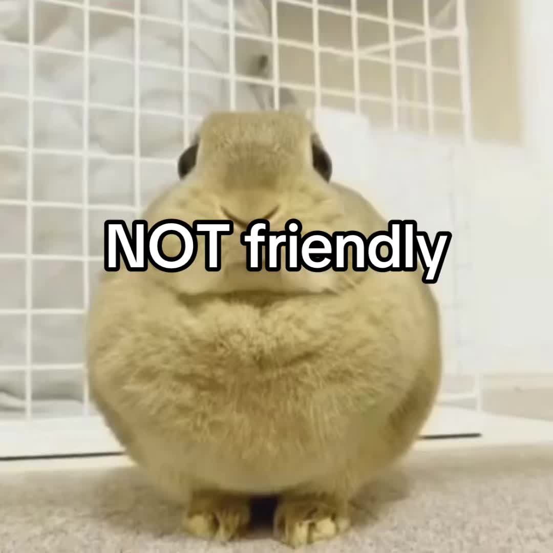 @๐ฟ๐๐๐๐๐๐๐๐๐๐ ๐ฏ .แโธโธ