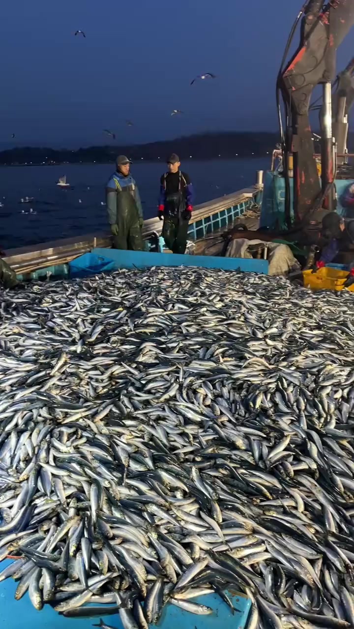 @🛳️h&agrave;m&igrave;d&oslash;⚓⚡R&aelig;ys&euml;🐬🏴&zwj;☠️