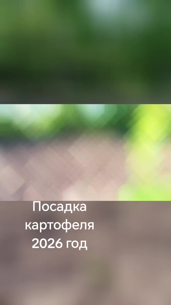 @Татьяна Бехт