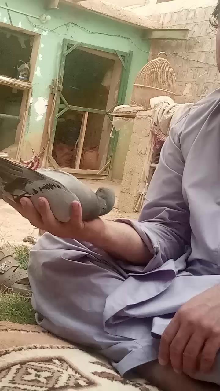 @Sahibzada Nawabshah Kakar