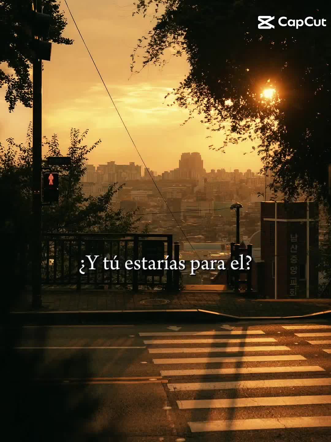 @vivi
