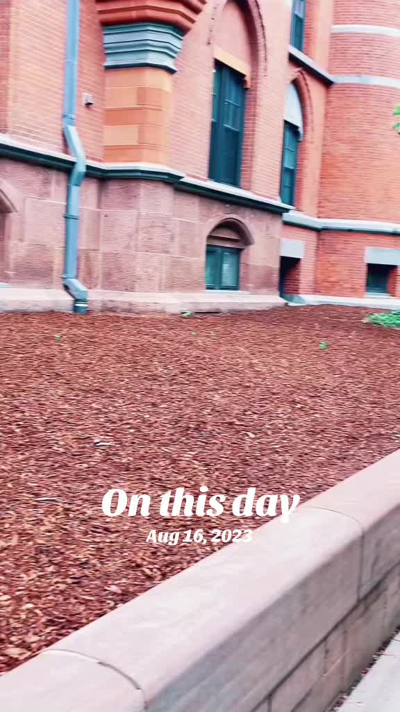 @Vish31