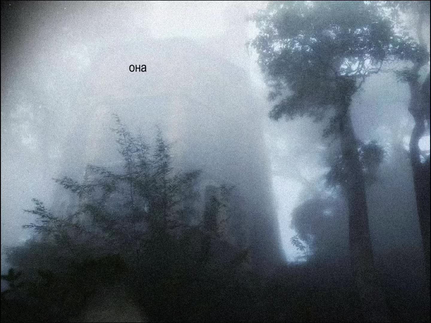 @𝒔𝒐𝒏𝒈𝒔