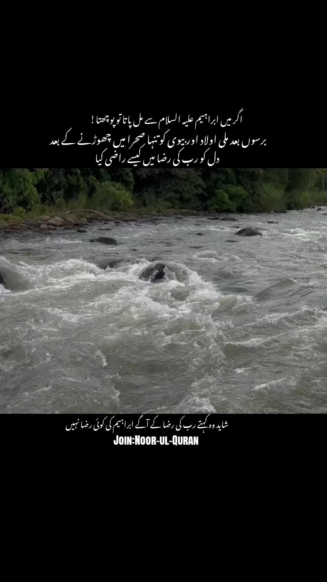 @قیس ✨🤍