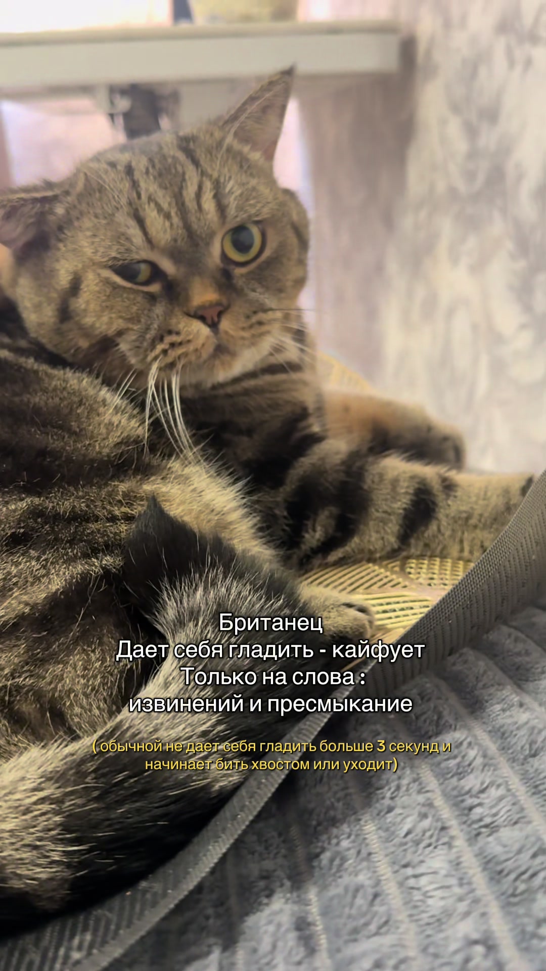 @Karina ₽пп~РЕМИССИЯ