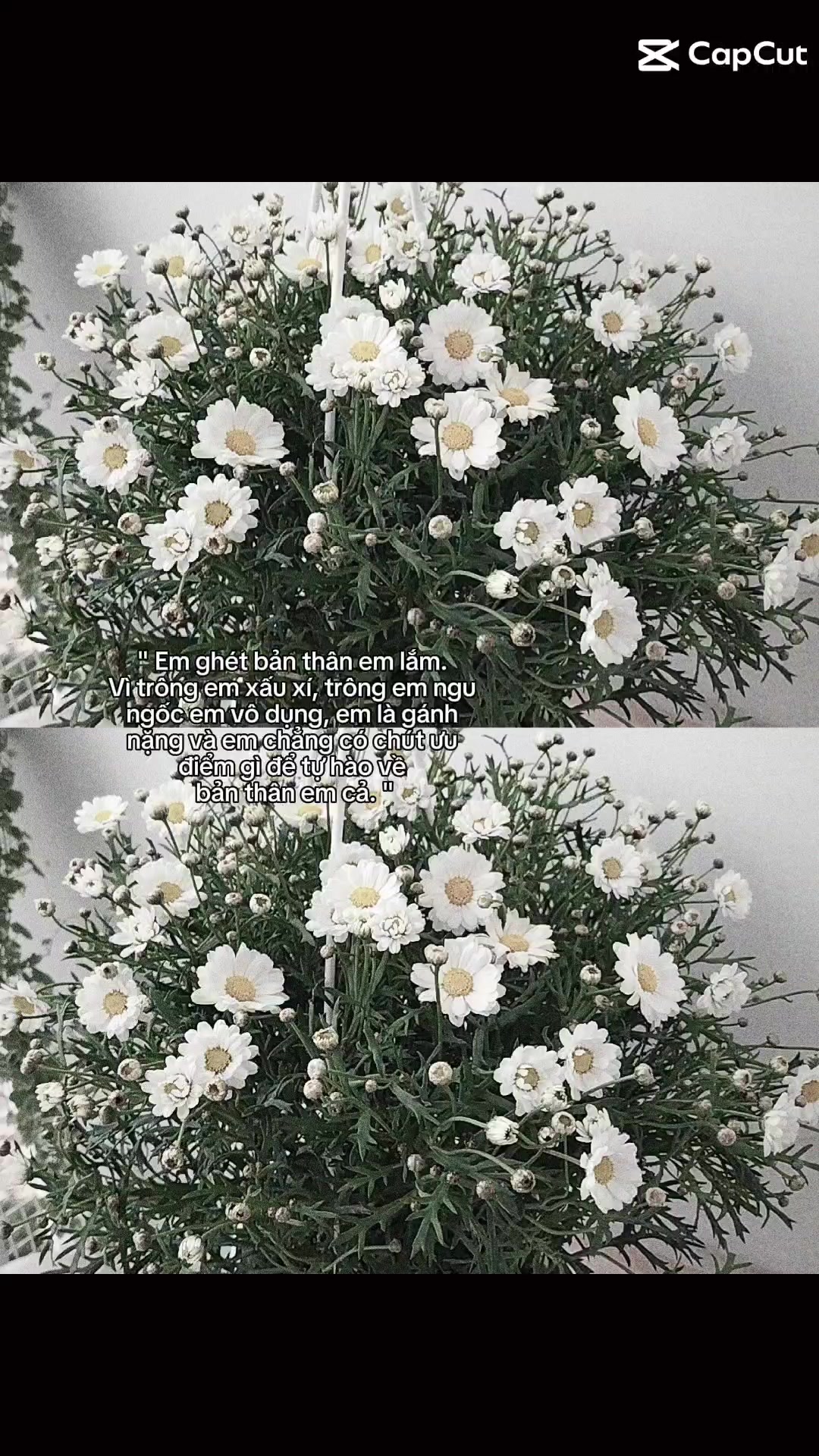 @mặt tối của 𝙿𝚑𝚘𝚎𝚋𝚎𝚎