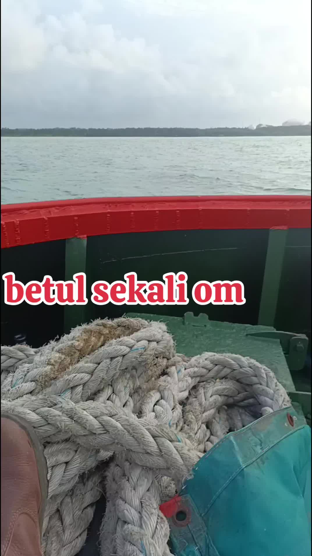 @chy