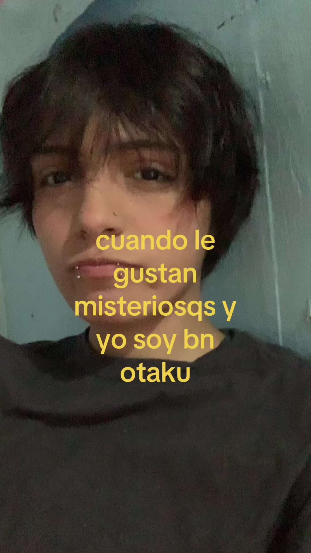 @sushiicat_