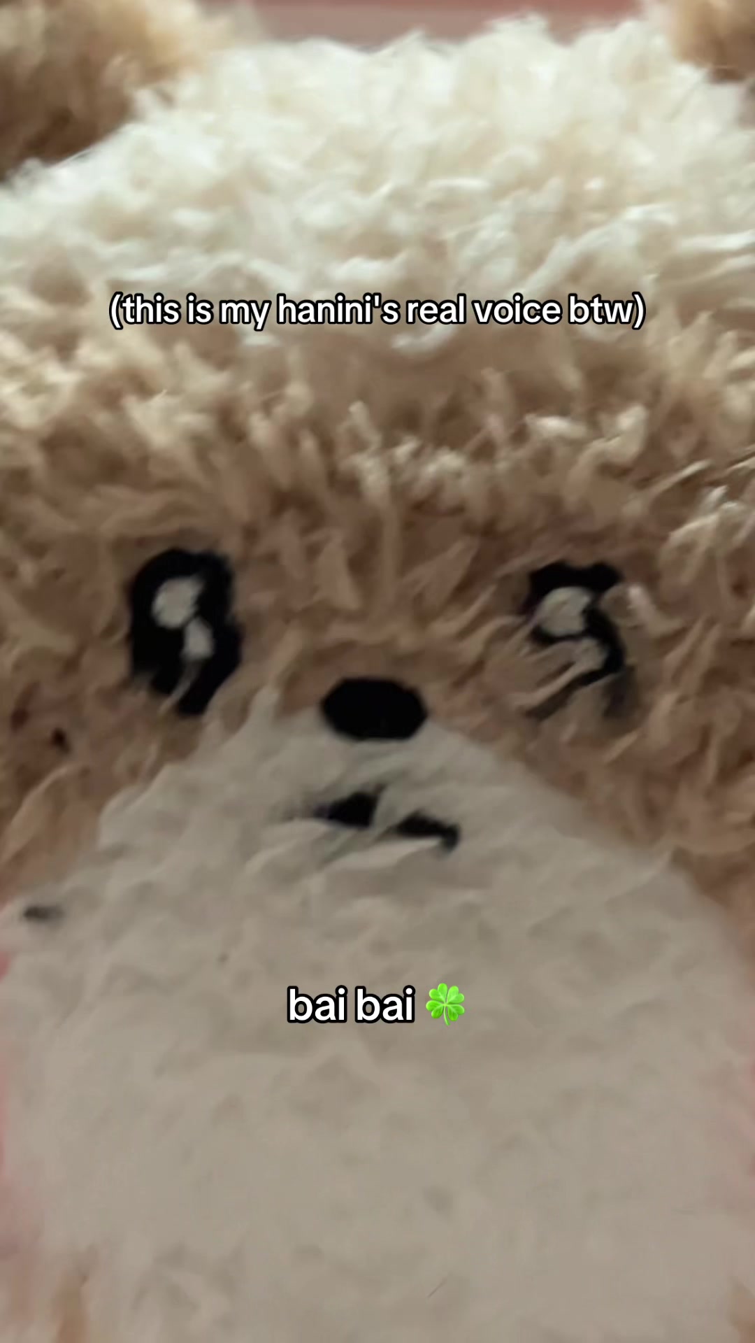 @enzo