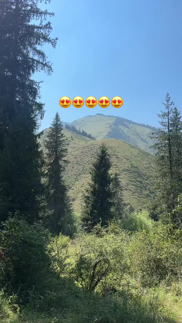 @bezzzzzzumniy