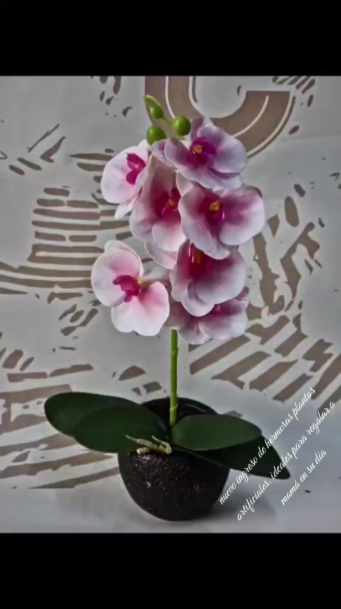 @MSJPLAST PERU