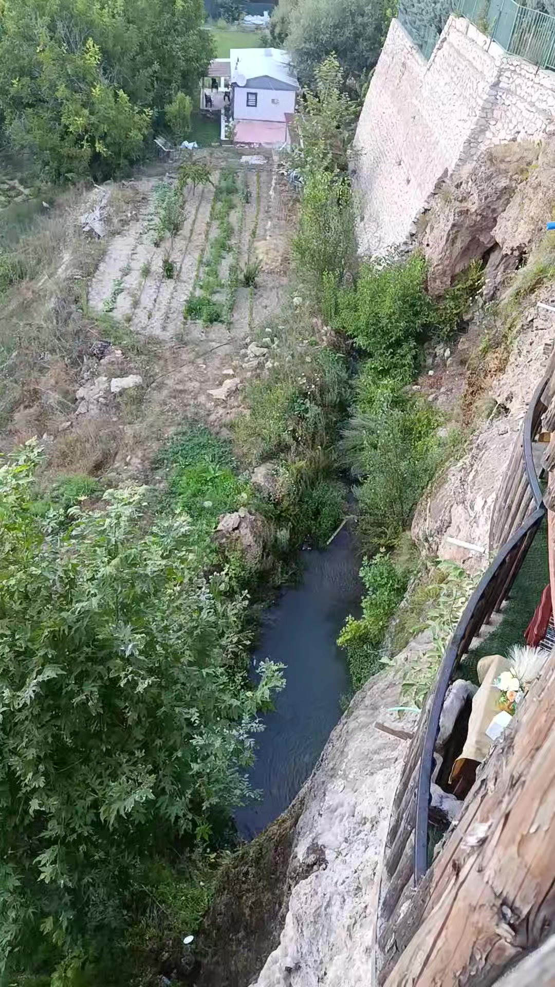 @kelebeğin R&uuml;yası 44