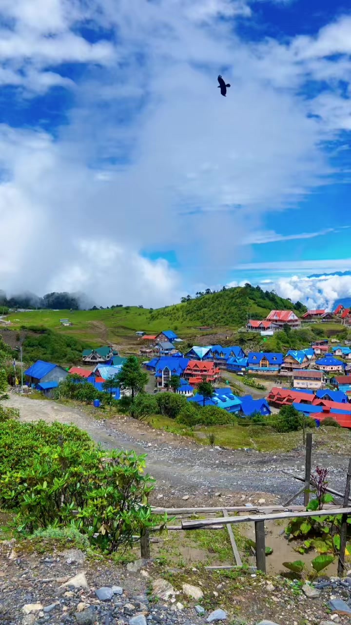 @Alka Shrestha