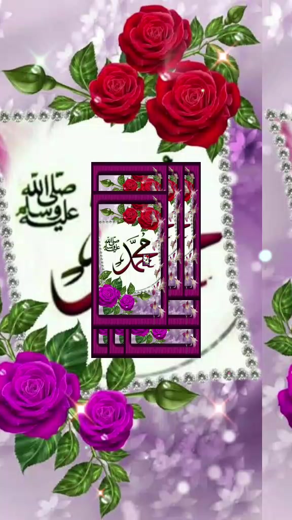 @Hina Malik