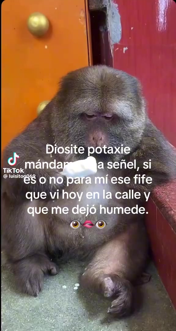 @🖤🖤Momo 🖤🖤