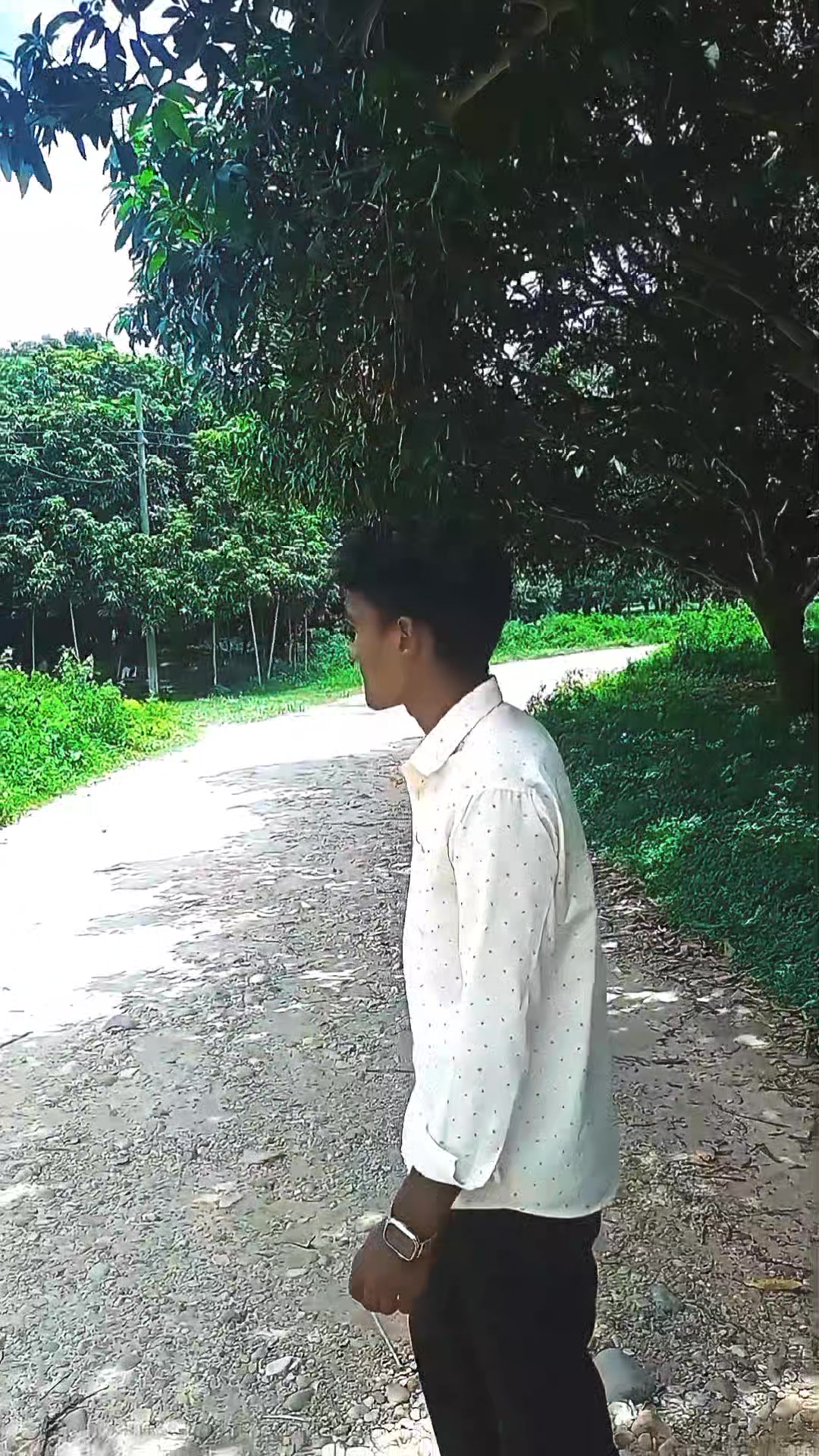 @zzidhi star