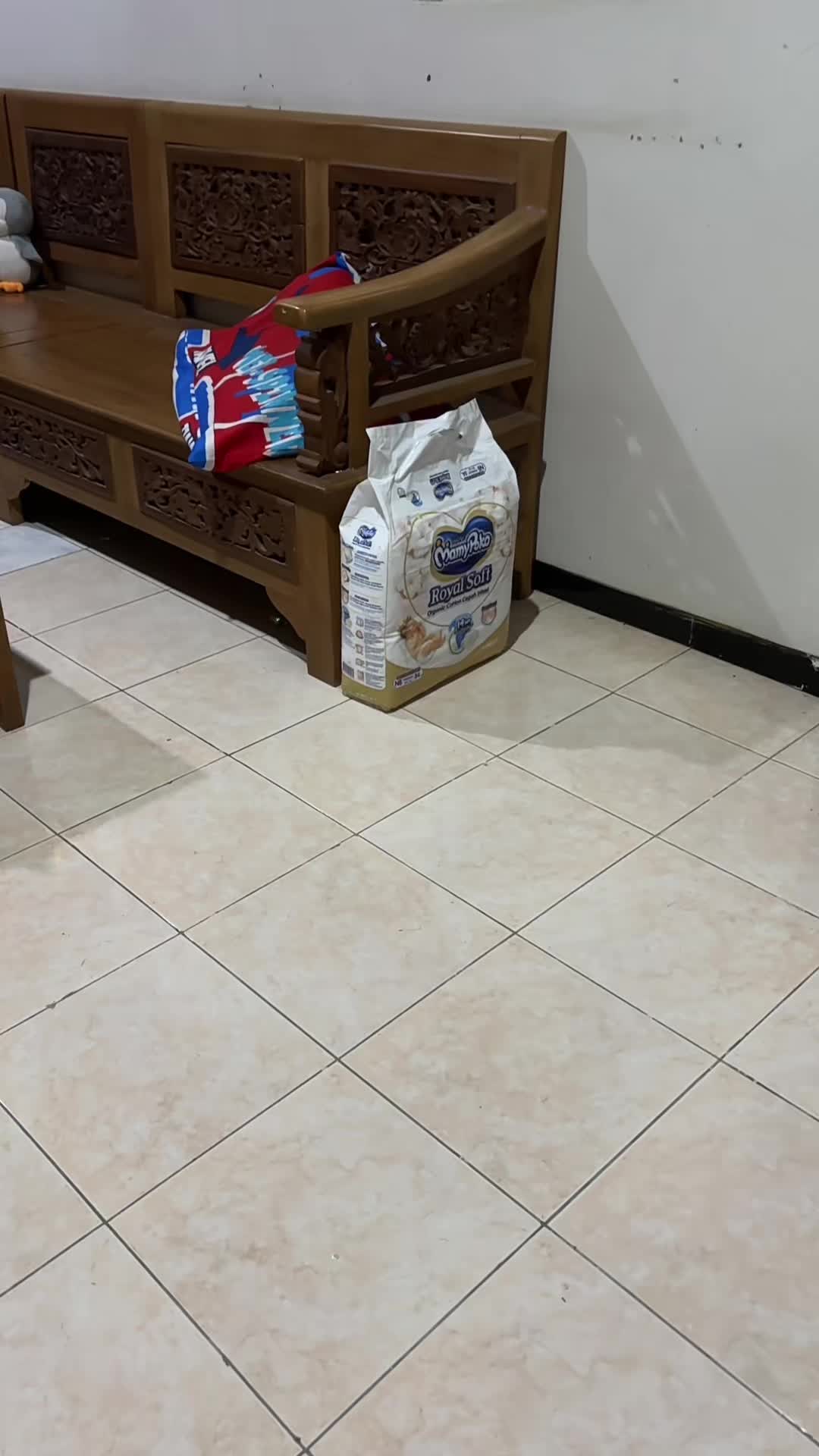 @cicicuit