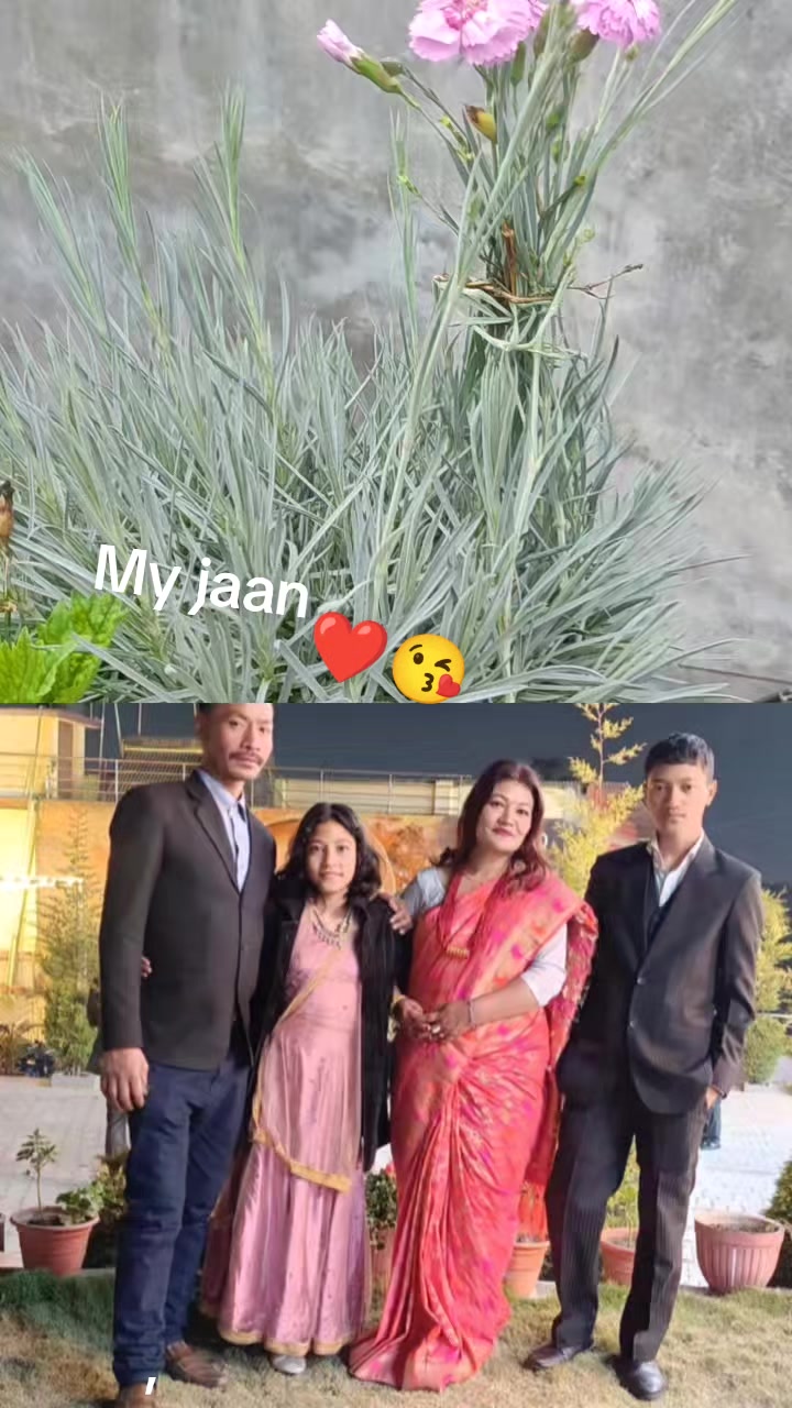 @jannu jannu