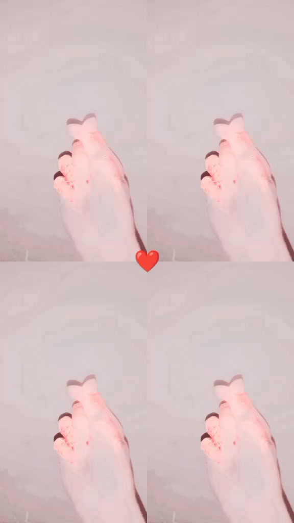 @🤨ziddi &hearts;️girl 🤨