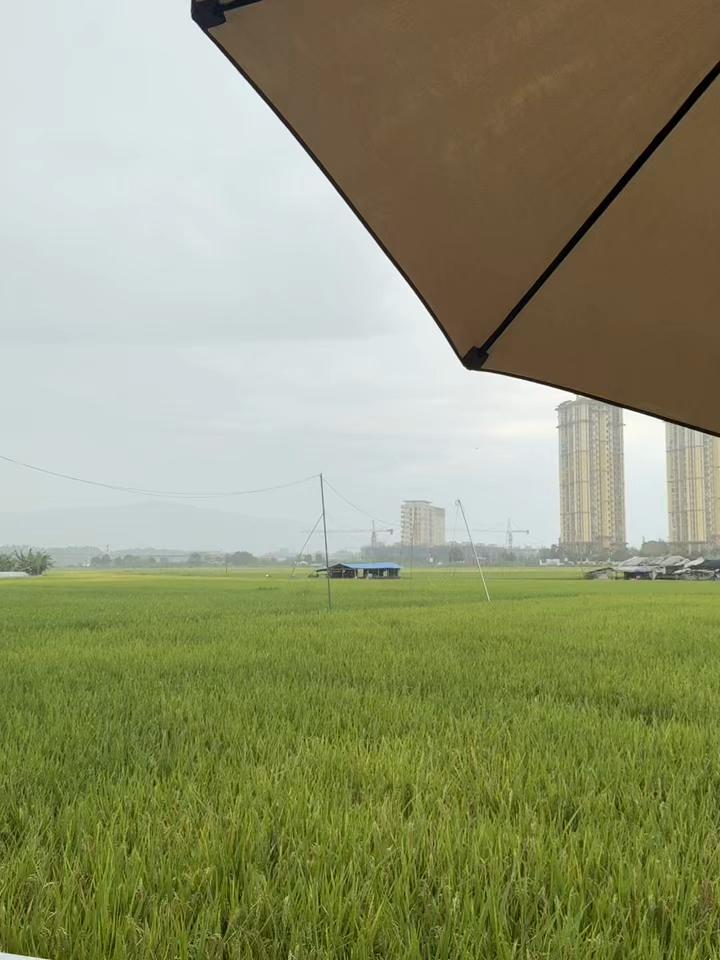 @Nang Mwe Phaung Kham