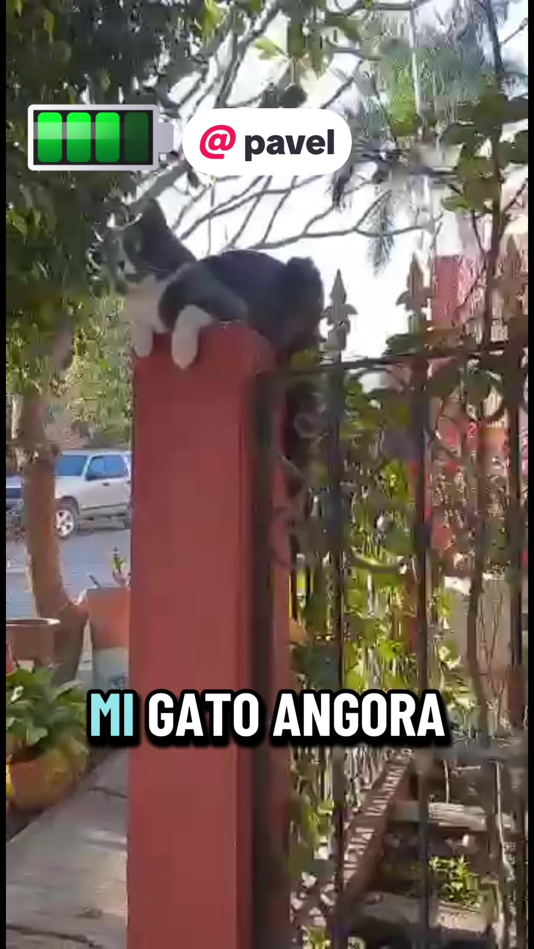 @Severiano VR