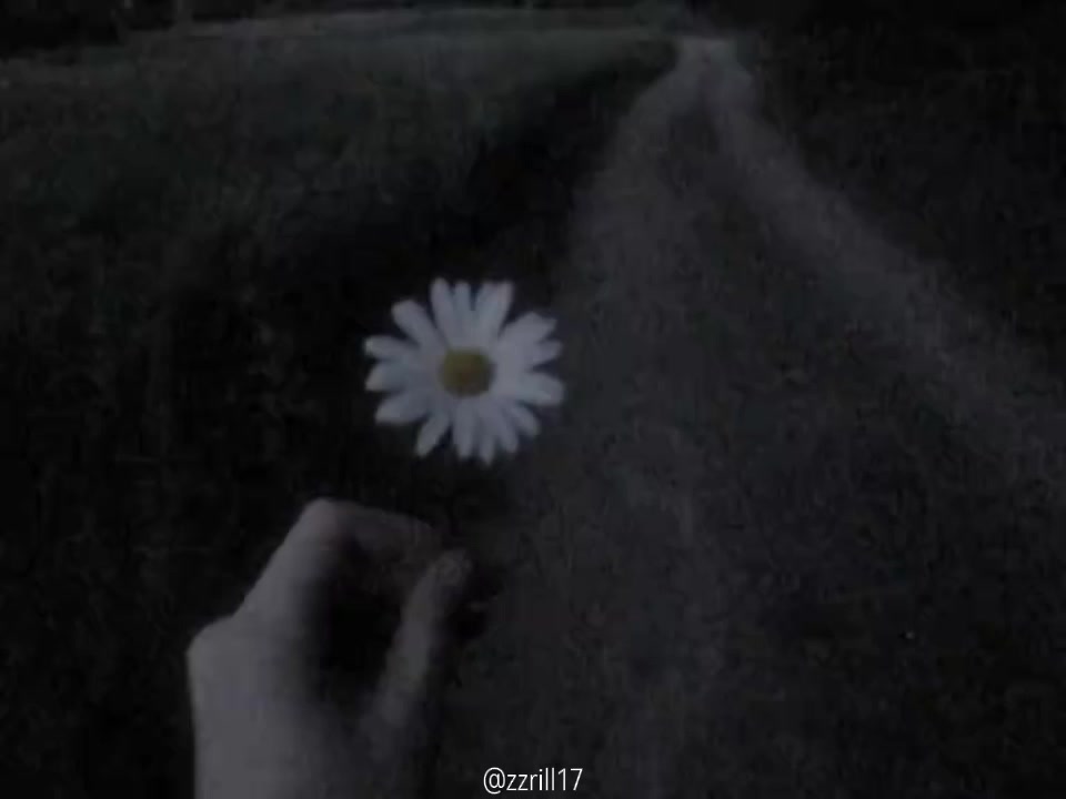@zzrill17🐈&zwj;⬛