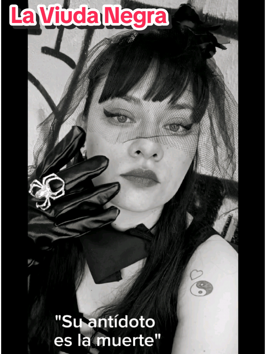 @Yanin Mishelterror