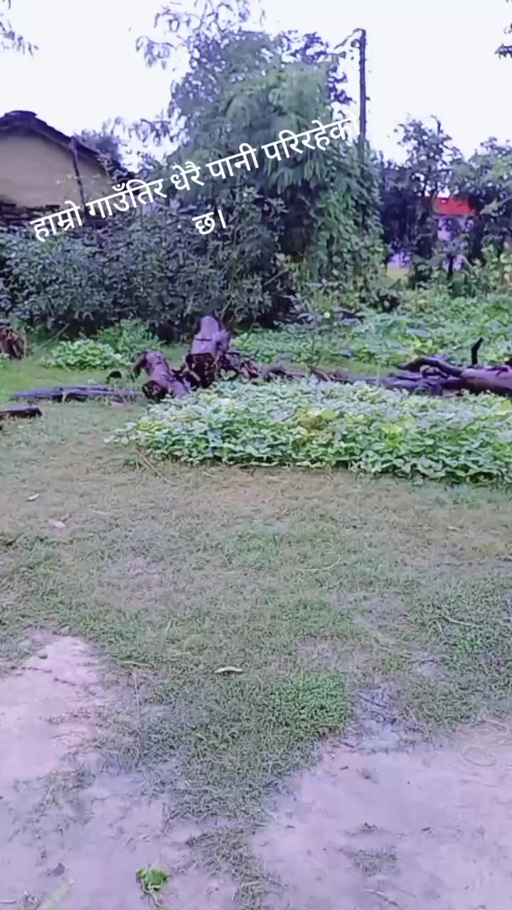 @Rekha bohara1
