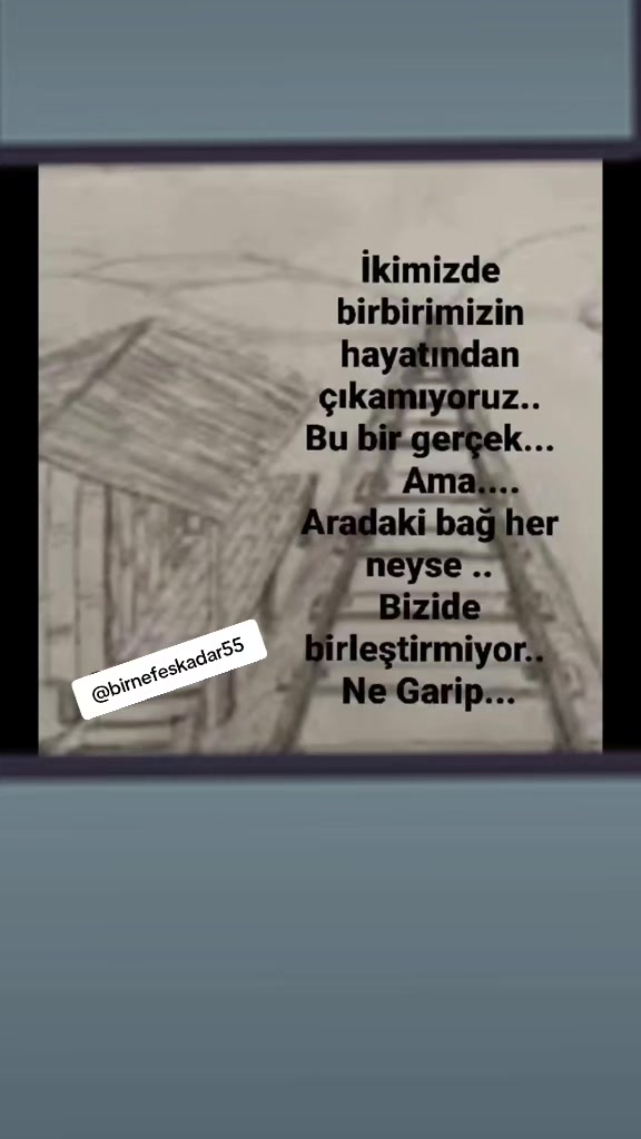 @birnefeskadar55