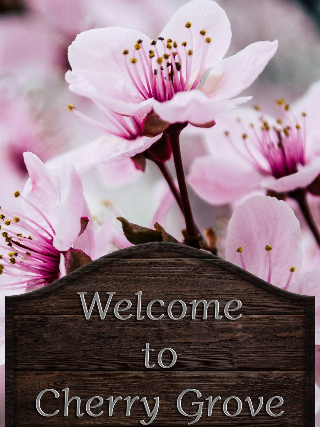 @Shonna Preston - Author
