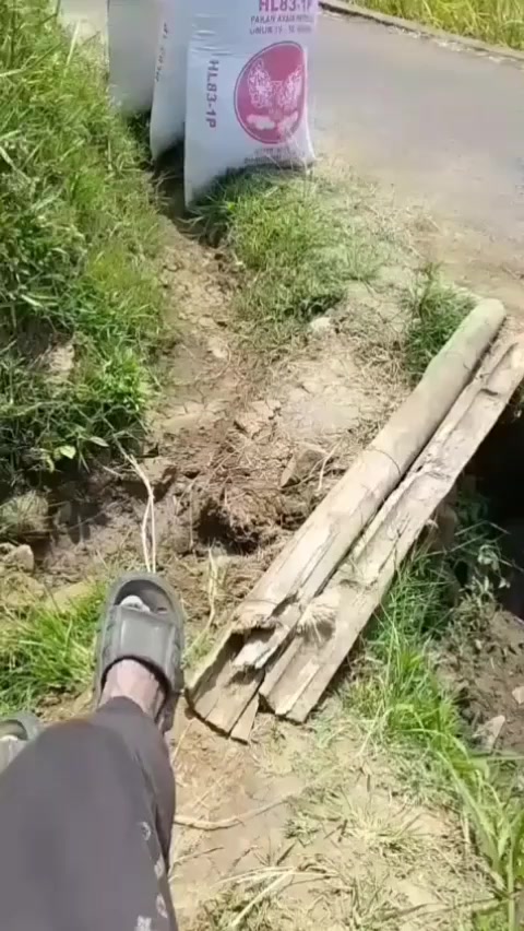 @Rajawali Sakti